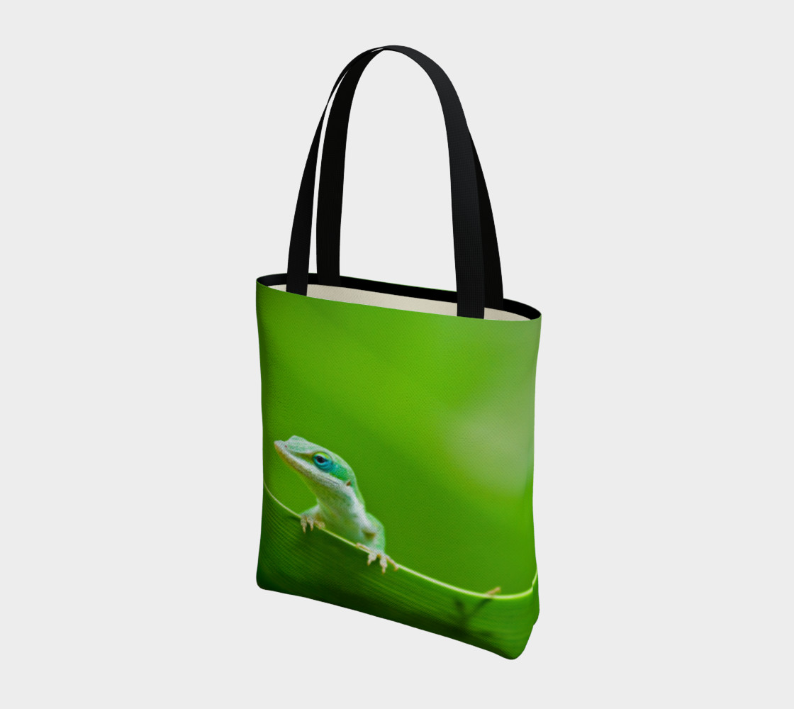 Aperçu de Anole verte / Green Anole #3