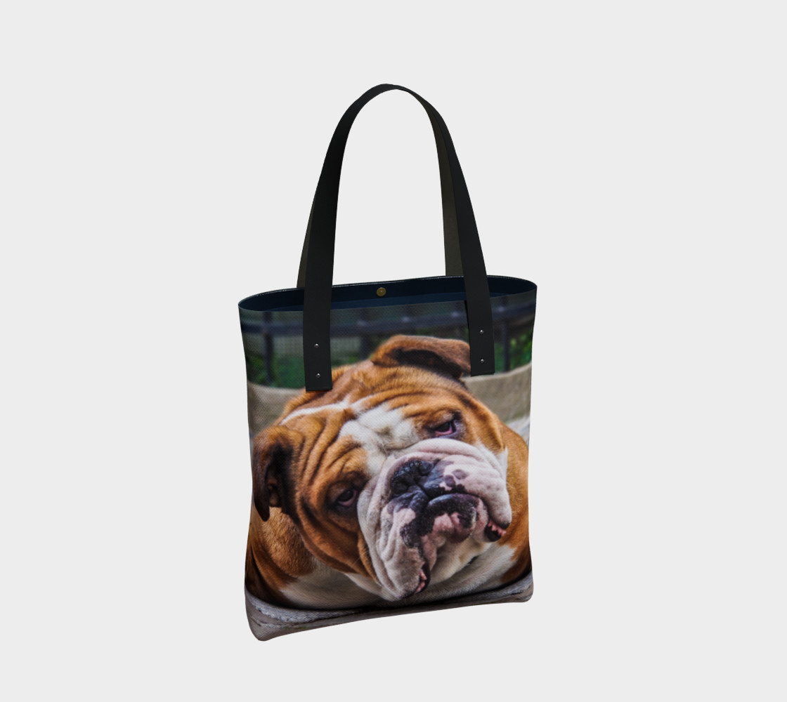 Aperçu de Chien grognon / Grumpy Dog #2