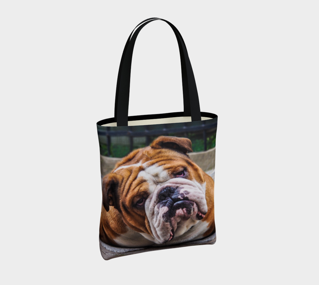 Aperçu de Chien grognon / Grumpy Dog #4