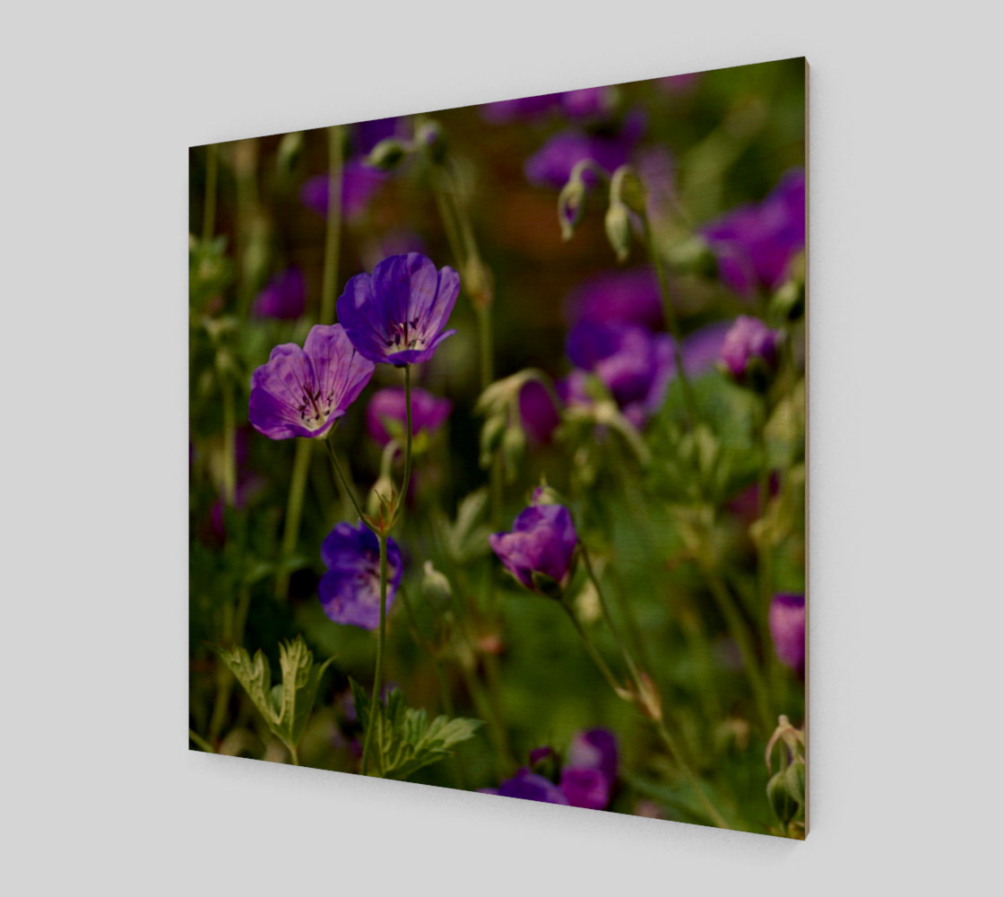 Purple Cranesbill Wall Art Canvas preview #1