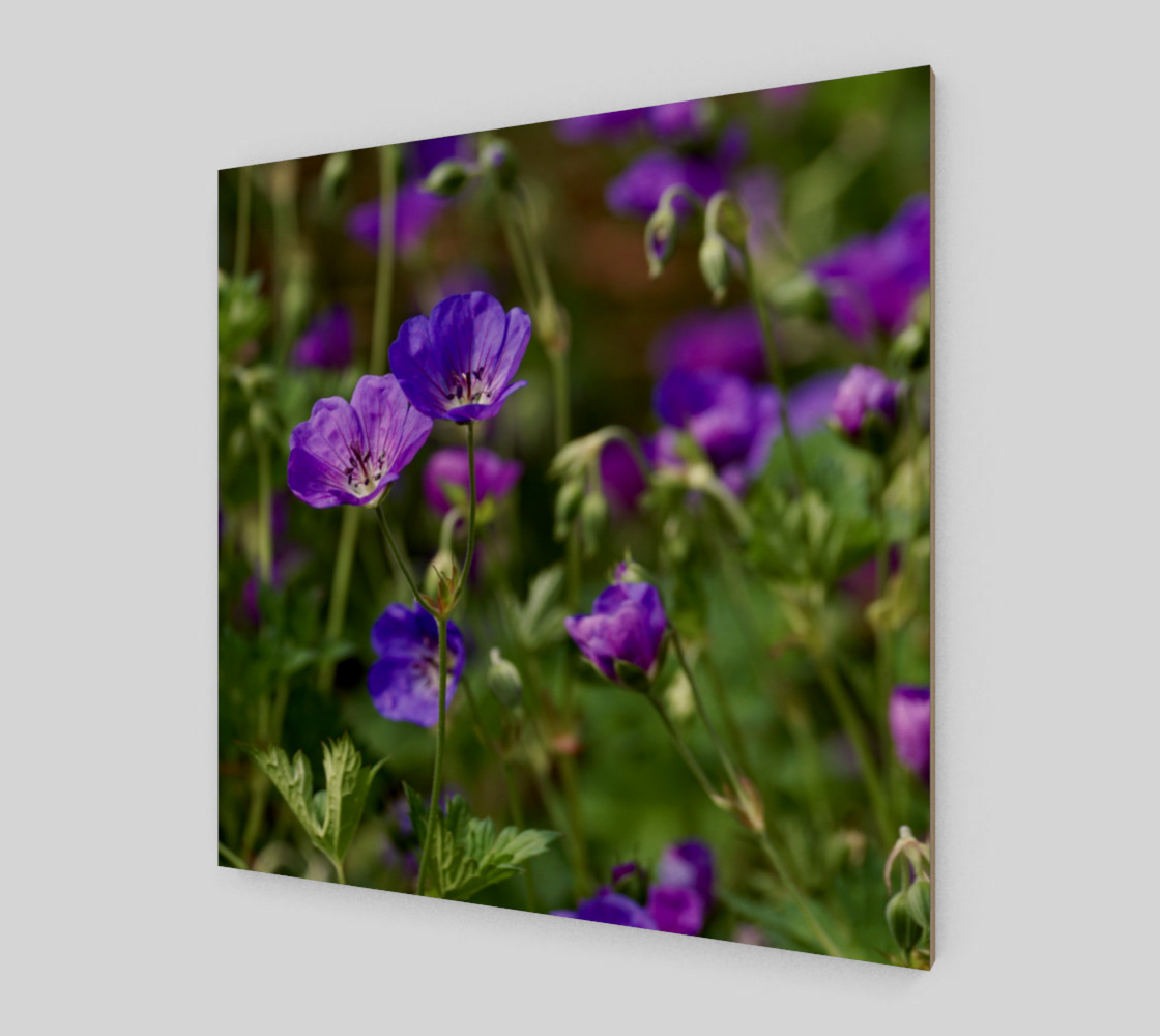 Purple Cranesbill Wall Art Canvas preview #2