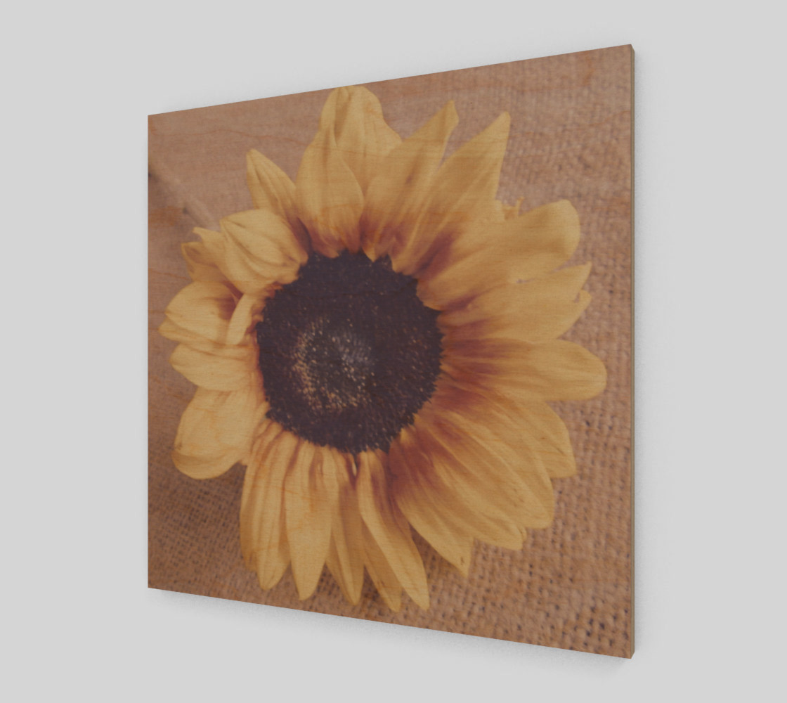Soft Sunflower II 3D preview