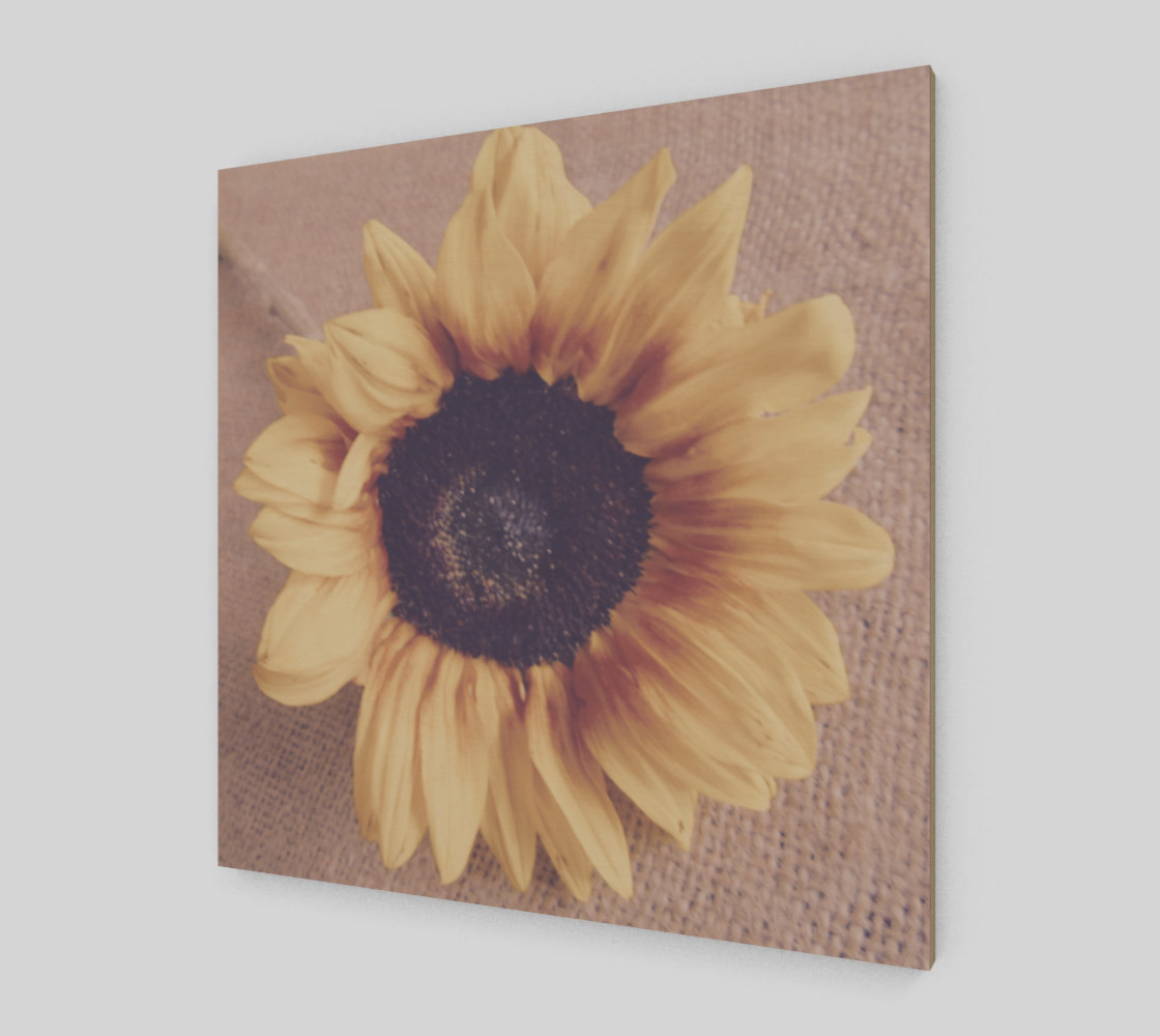Soft Sunflower II preview #2