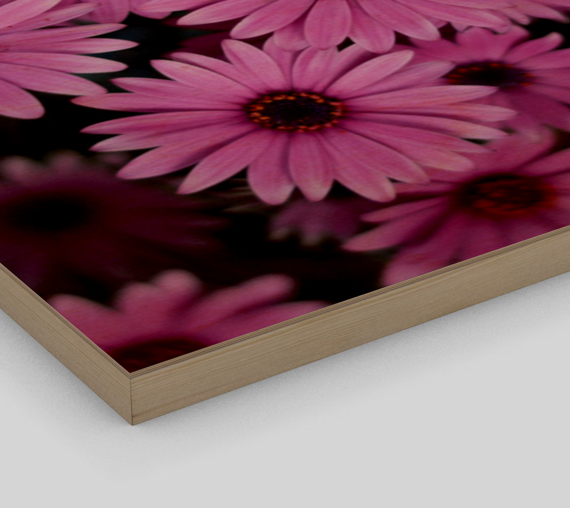 Pericallis Purple Flower Wall Art poster art print canvas wood print preview #3