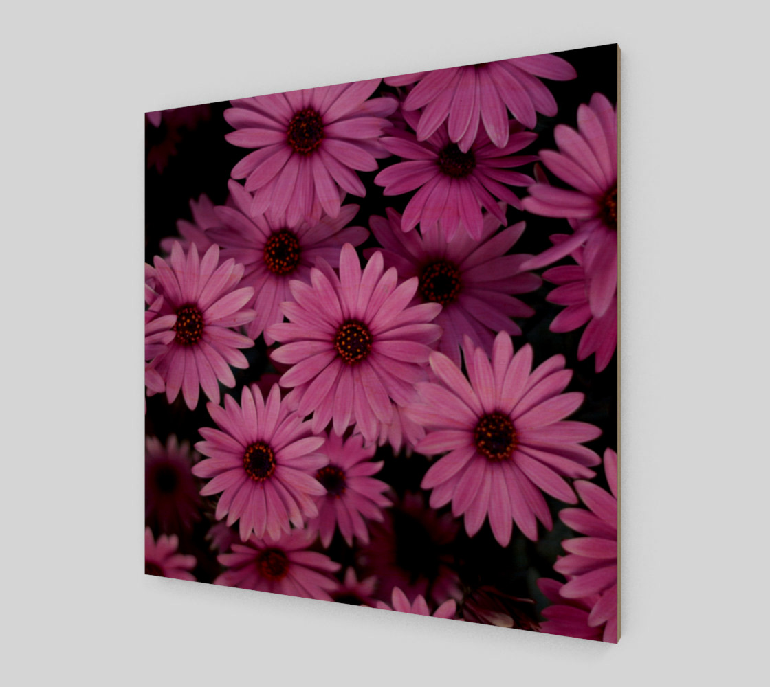 Pericallis Purple Flower Wall Art poster art print canvas wood print preview #1