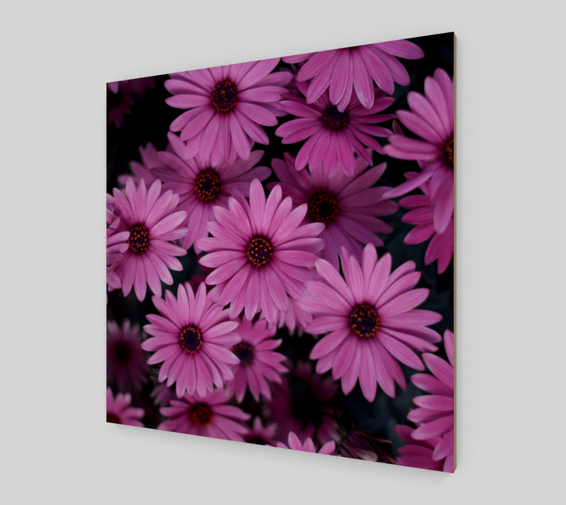 Pericallis Purple Flower Wall Art poster art print canvas wood print preview #2