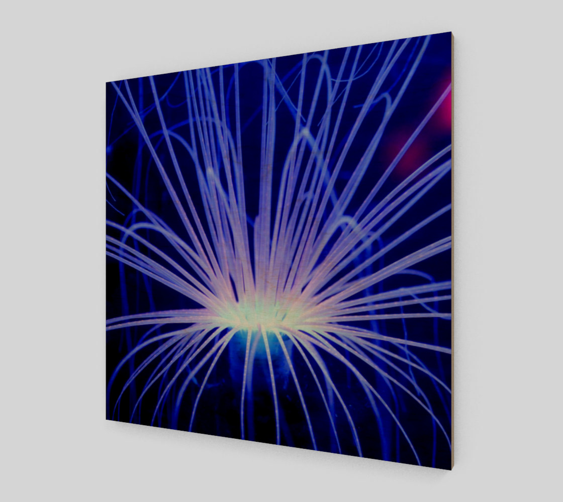 Purple Anemone canvas Wall Art poster art print wood print preview #1