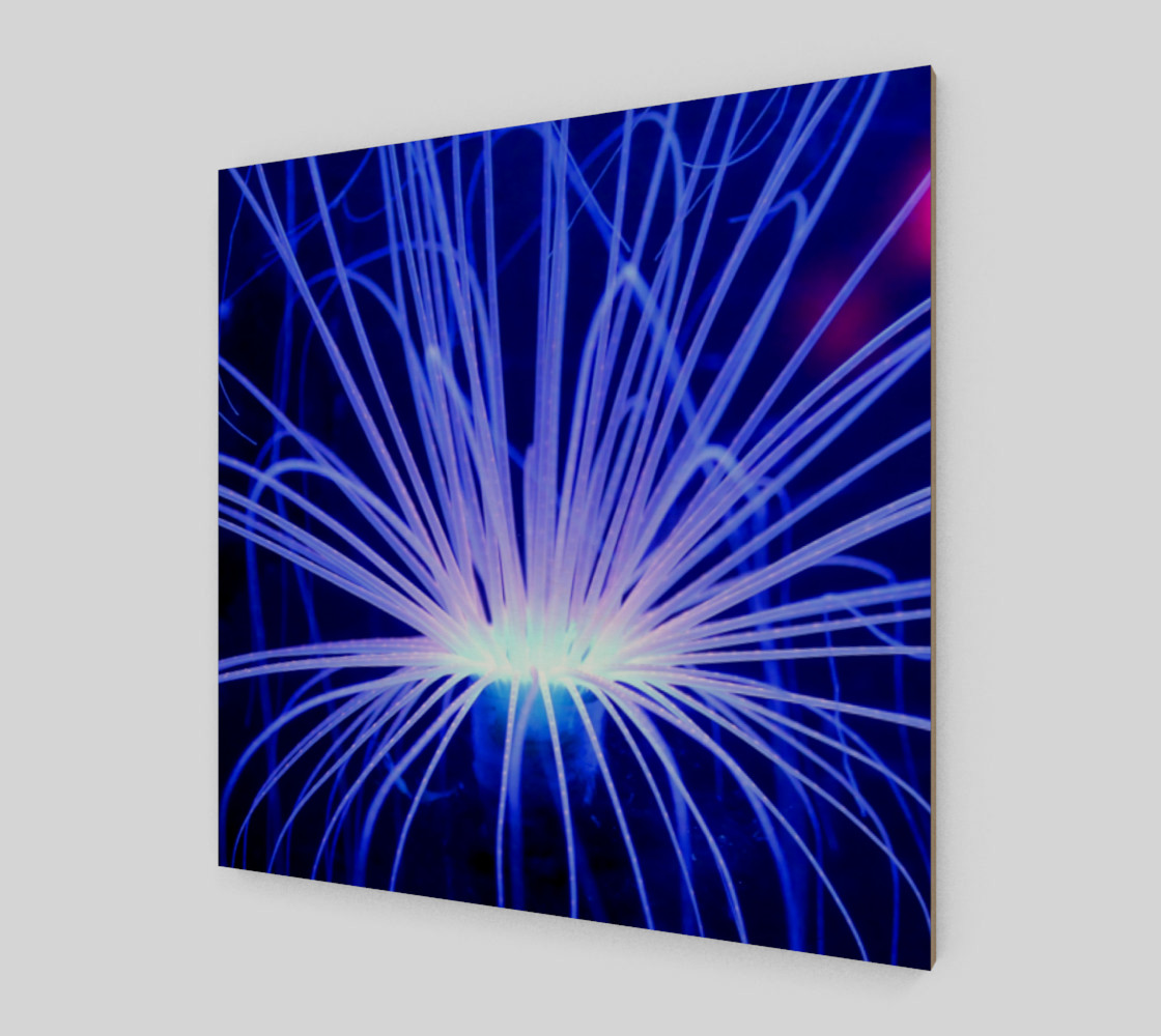 Purple Anemone canvas Wall Art poster art print wood print preview #2