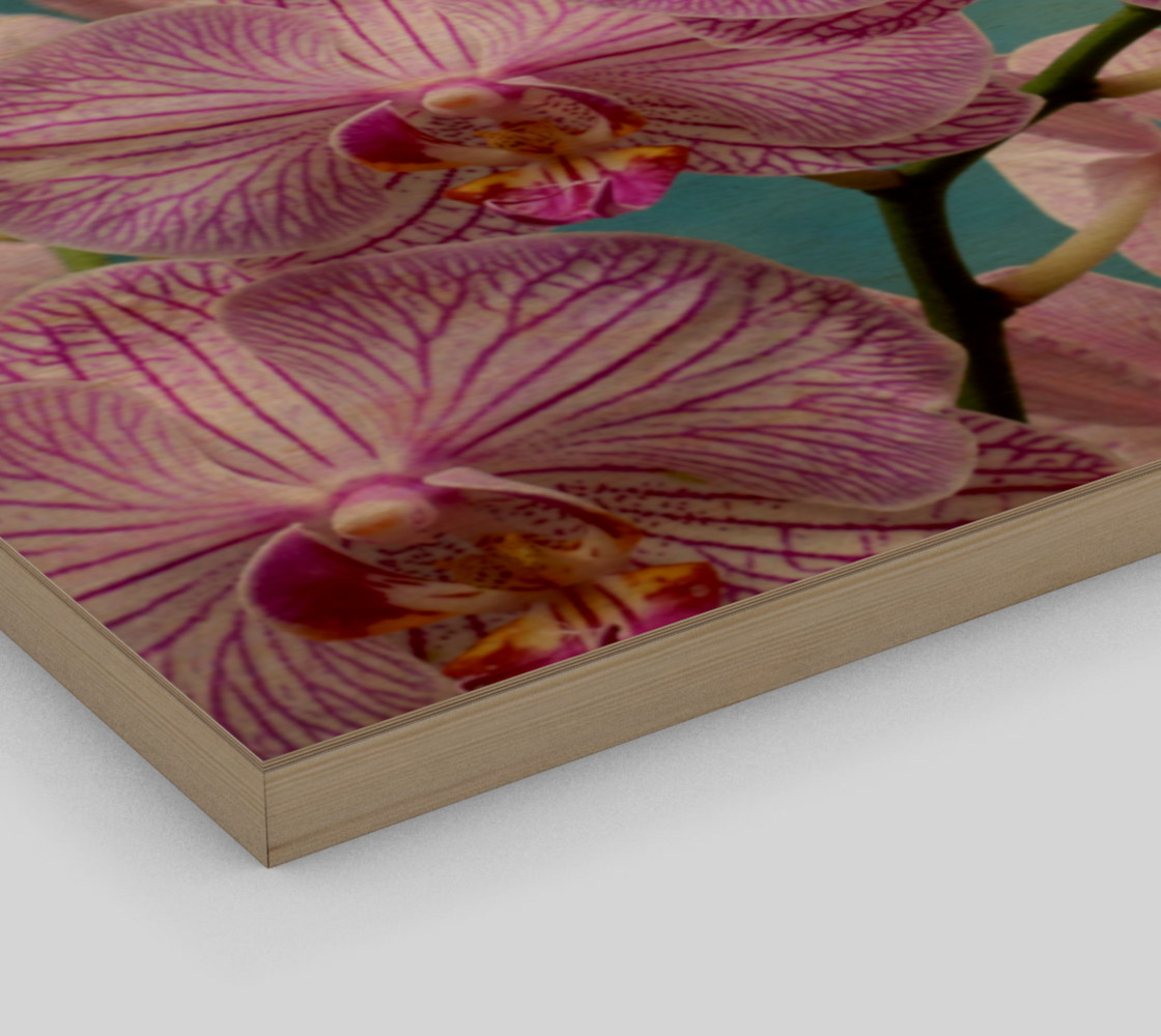 purple orchid preview #3