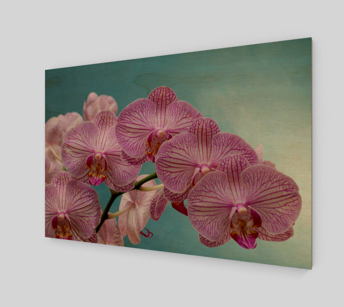 purple orchid preview #1