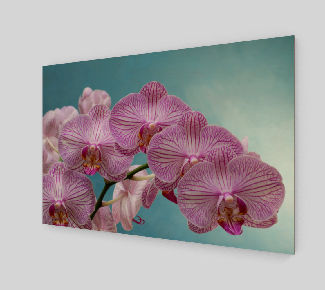 purple orchid preview #2
