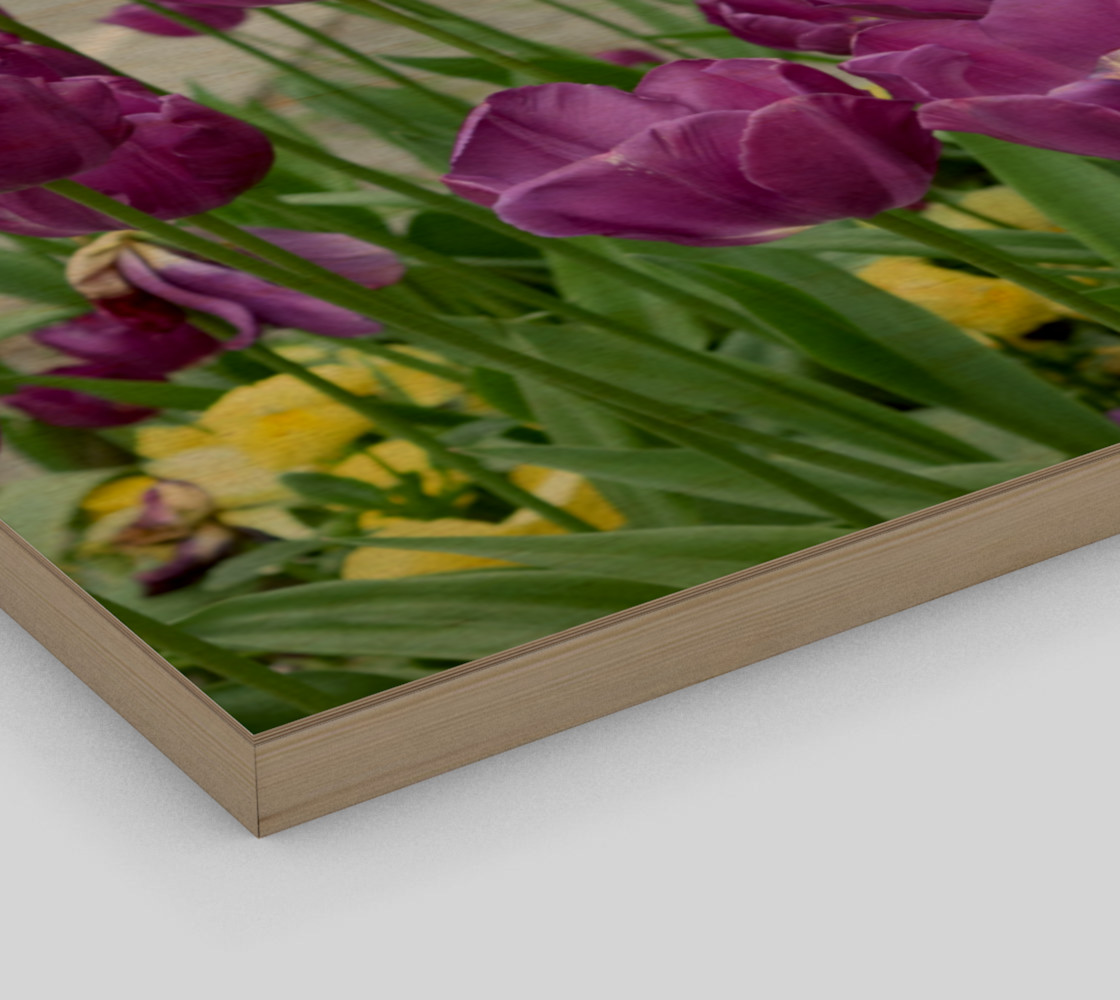 purple tulips forever preview #3