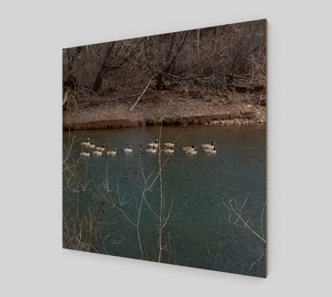 Canadian Geese On The Boise River Wall Art canvas preview #1