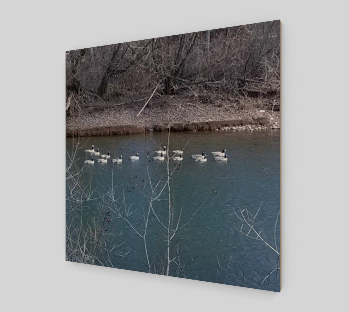 Canadian Geese On The Boise River Wall Art canvas preview #2