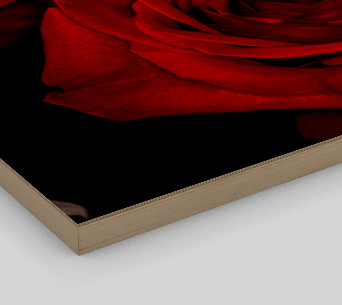 Red Roses preview #3