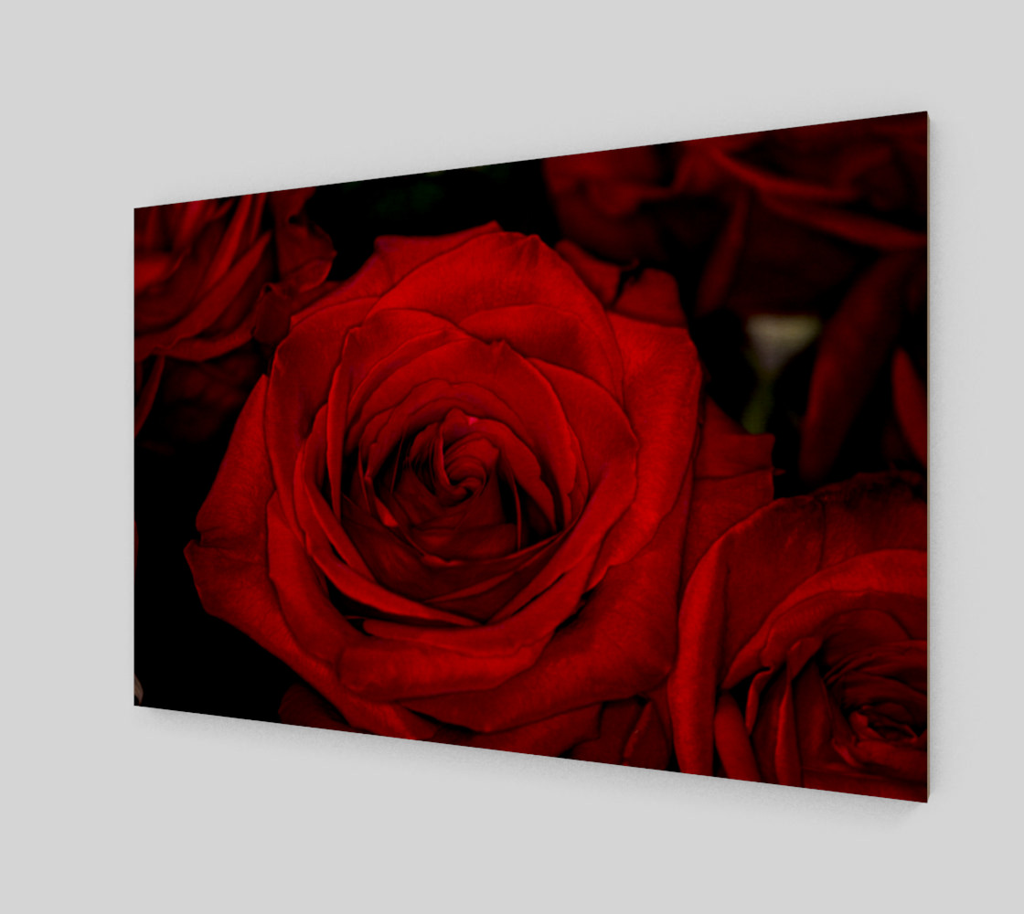 Red Roses preview #1