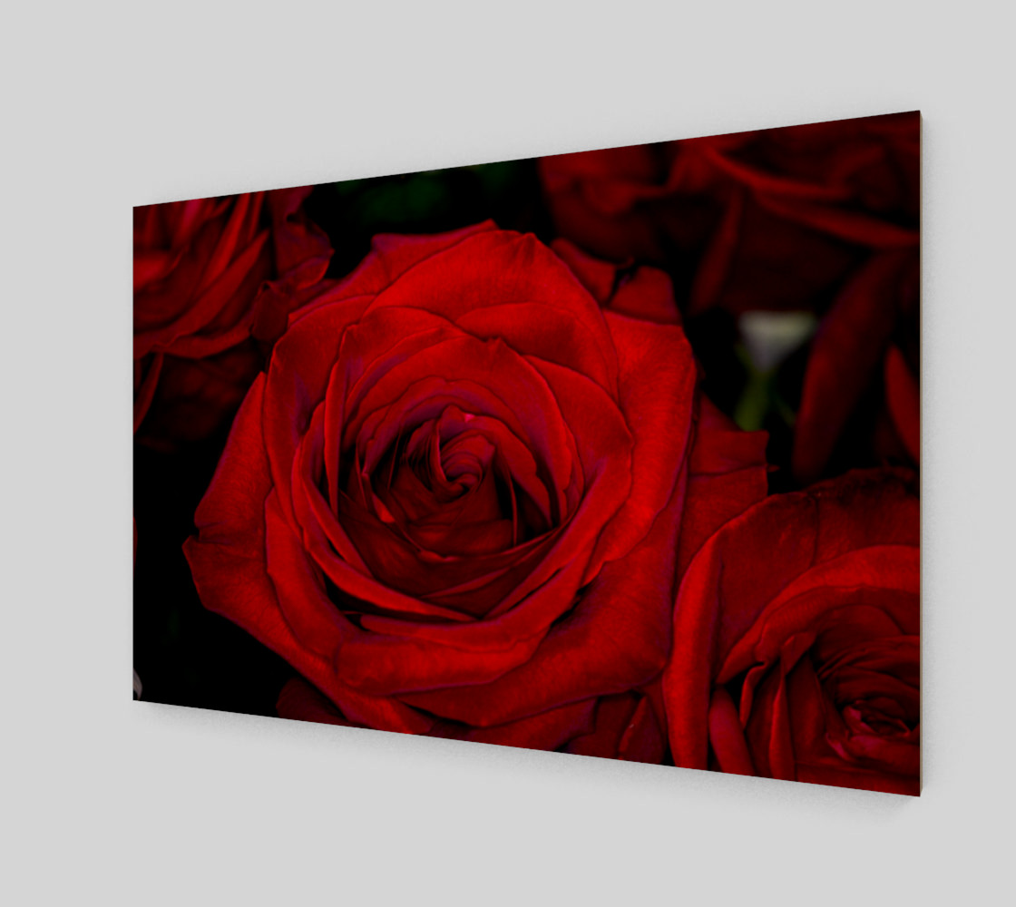Red Roses preview #2