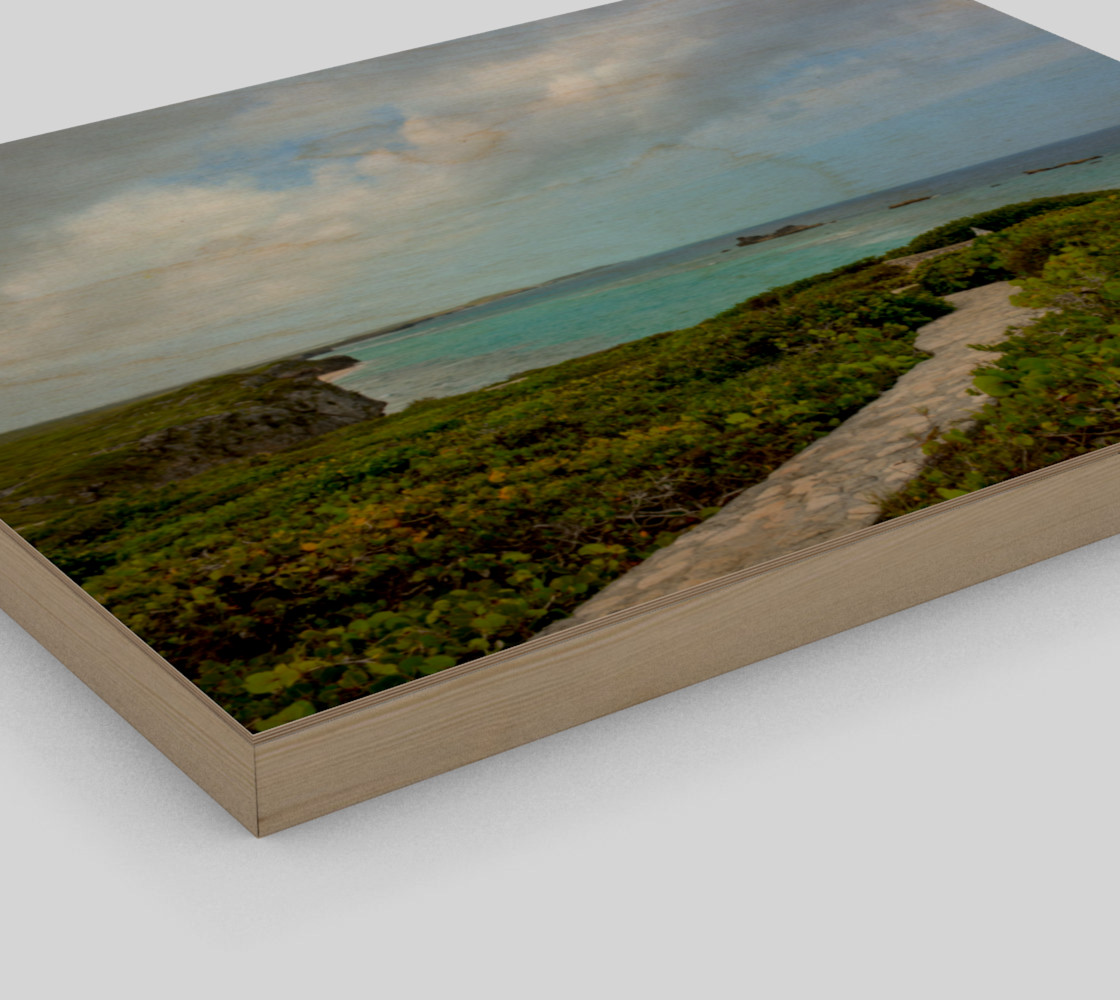 Path to the Secret Beach at Mudjin Harbor on Middle Caicos Wall Art preview #3