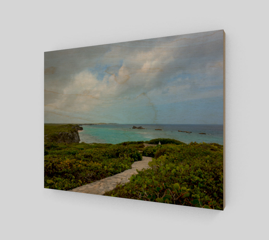 Path to the Secret Beach at Mudjin Harbor on Middle Caicos Wall Art preview #1