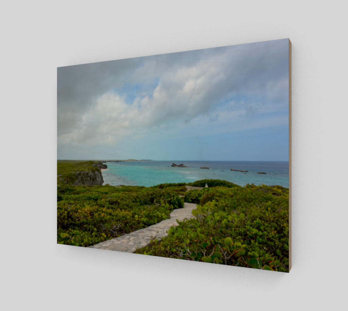 Path to the Secret Beach at Mudjin Harbor on Middle Caicos Wall Art preview #2