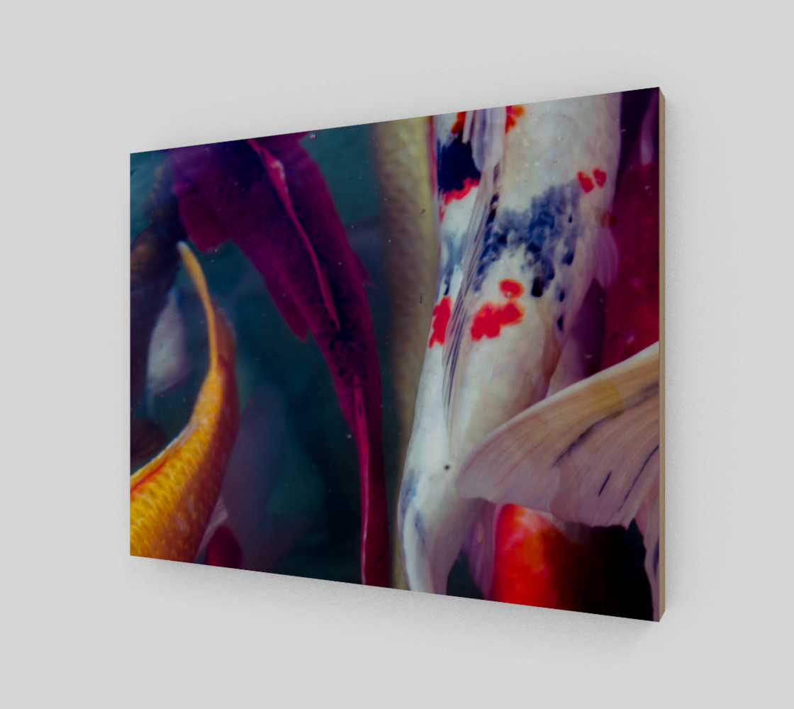 Koi in motion preview #2