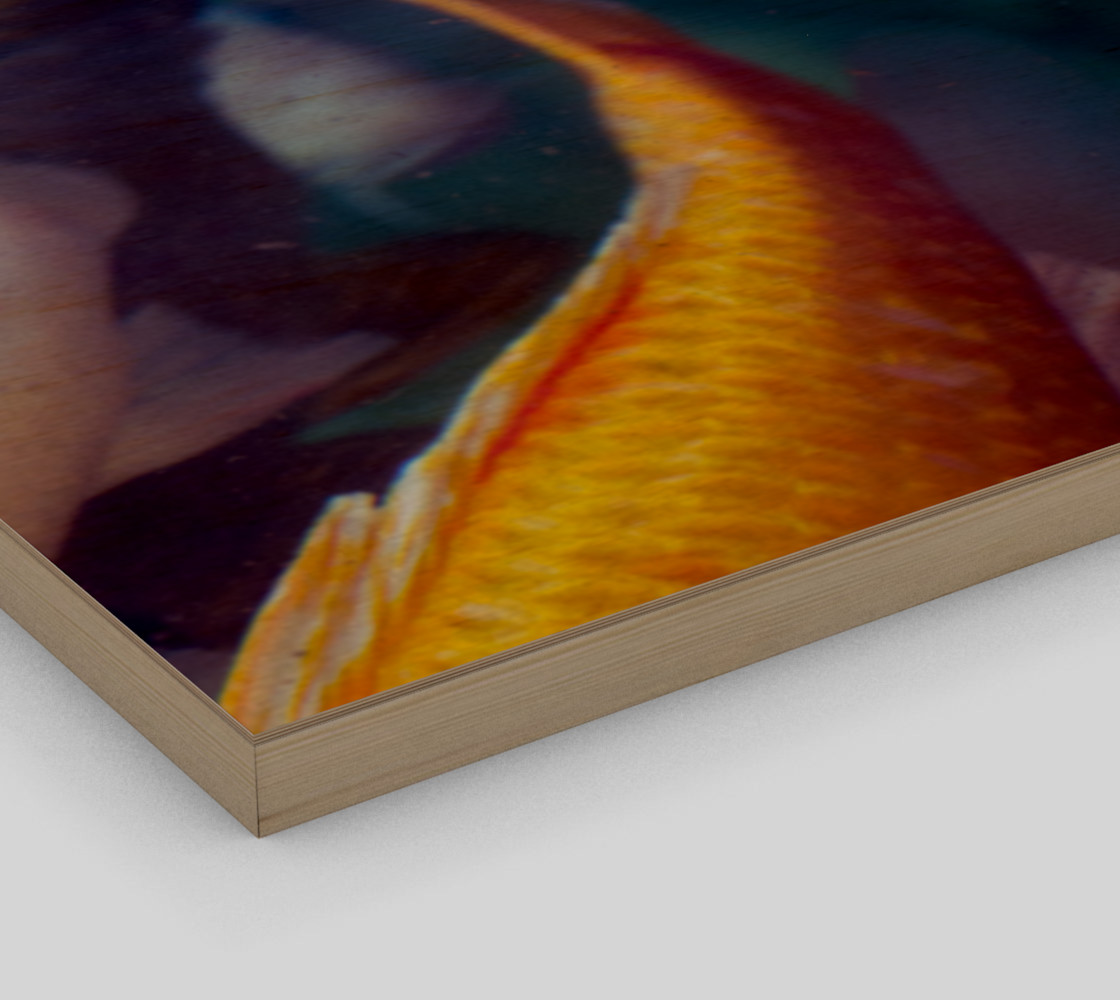 Koi in motion preview #3