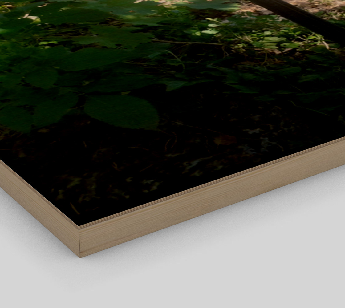 Abandoned Bird Bath Wall Art preview #3