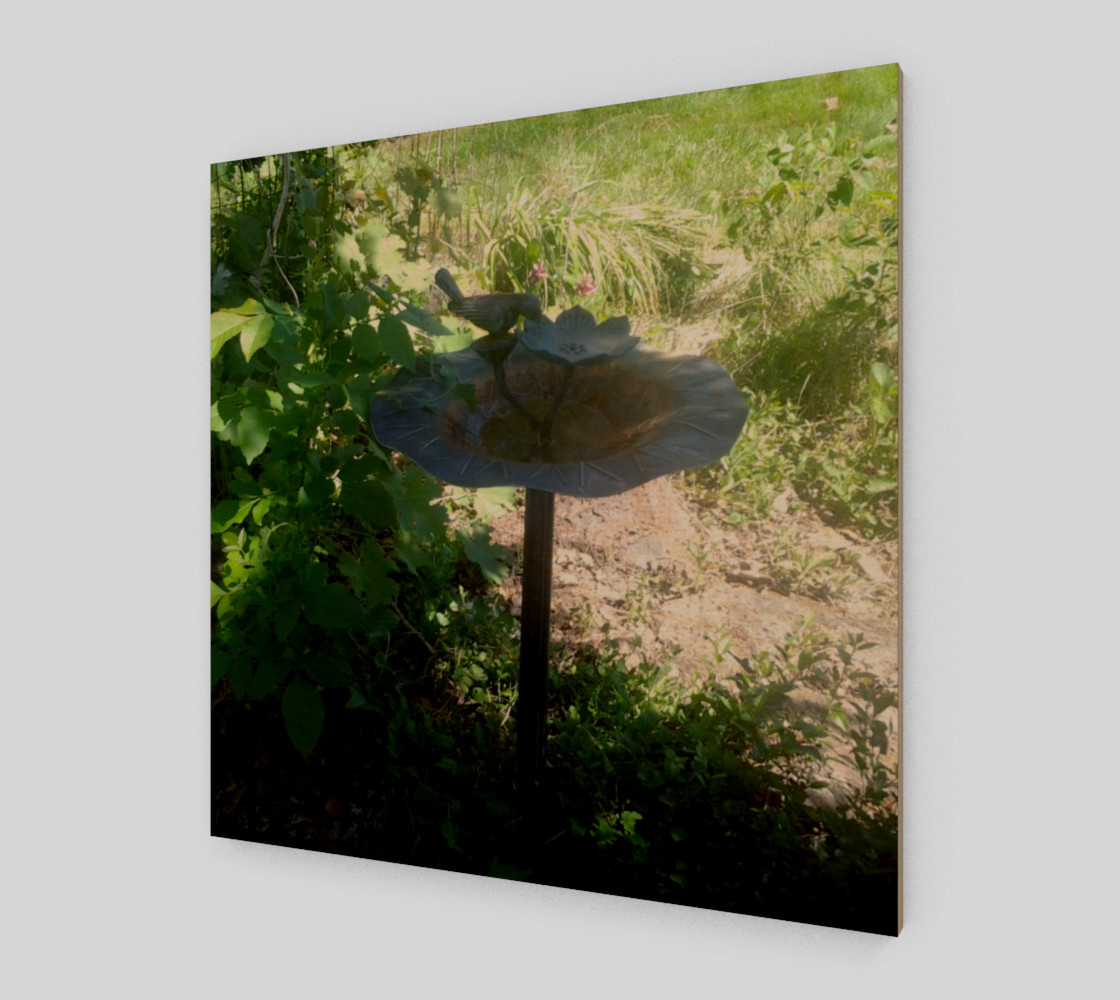 Abandoned Bird Bath Wall Art preview #1