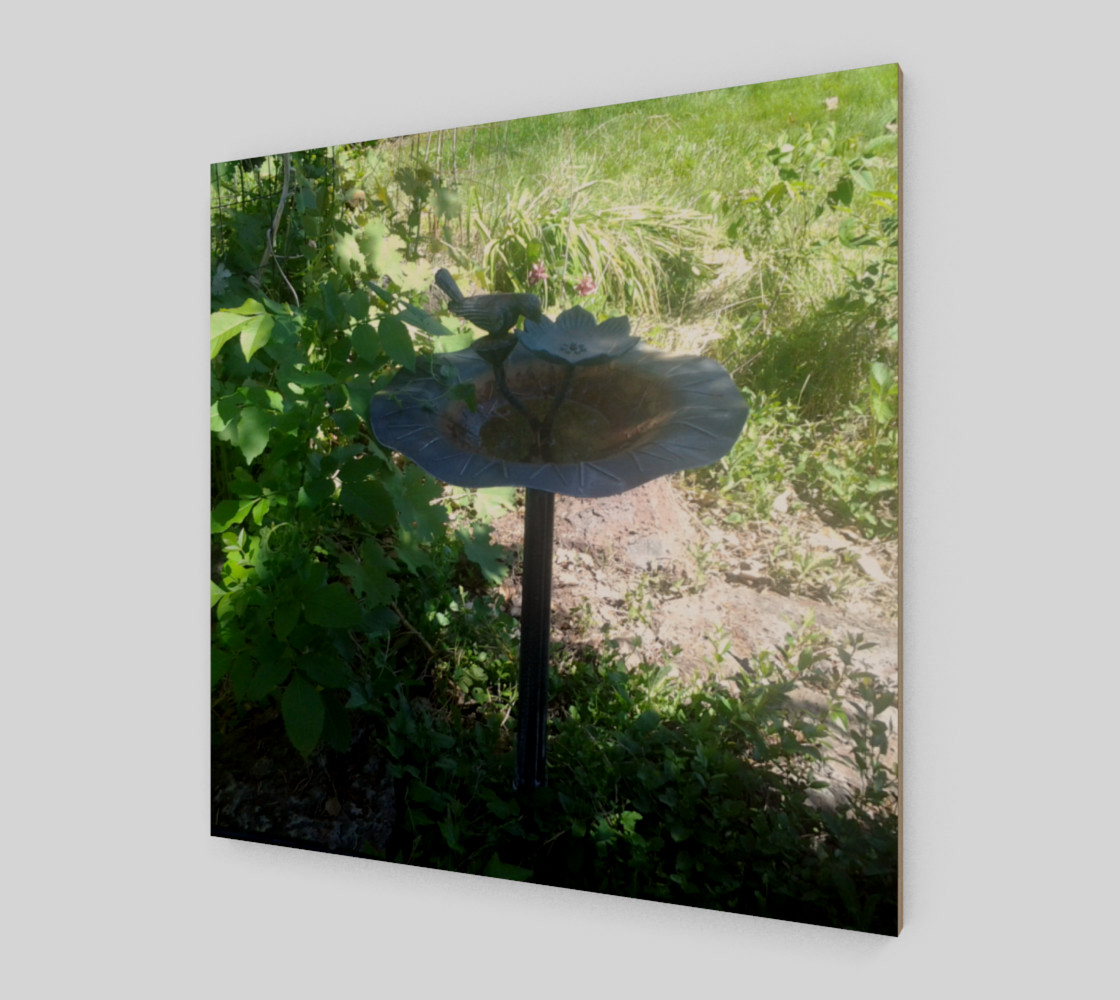 Abandoned Bird Bath Wall Art preview #2