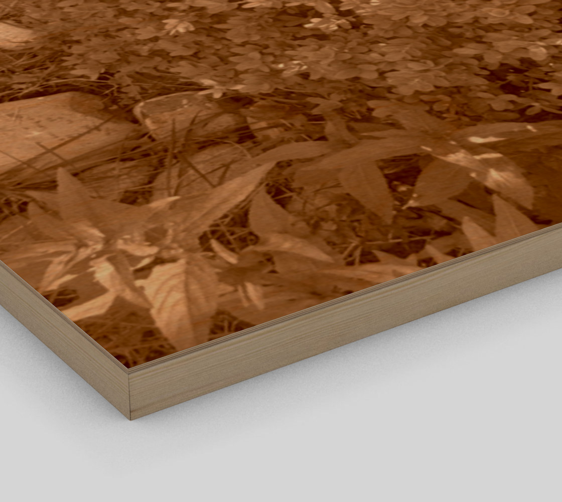 Bush in Sepia Wall Art preview #3