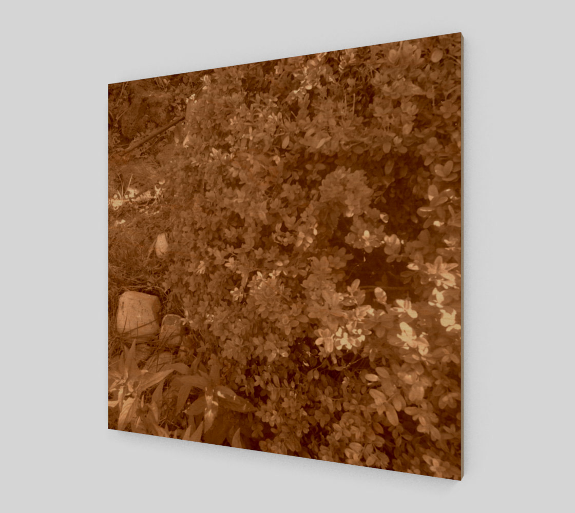 Bush in Sepia Wall Art preview #1