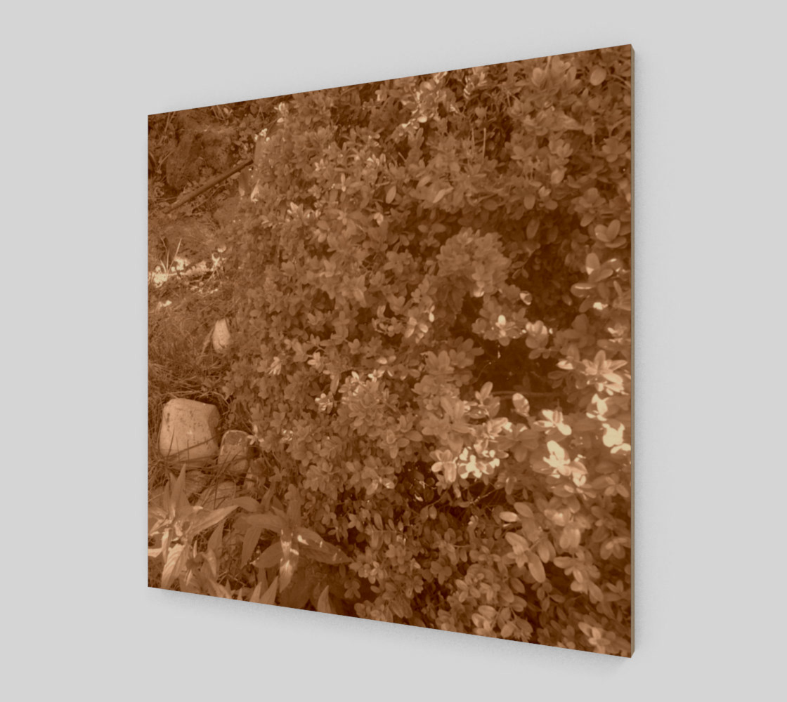 Bush in Sepia Wall Art preview #2