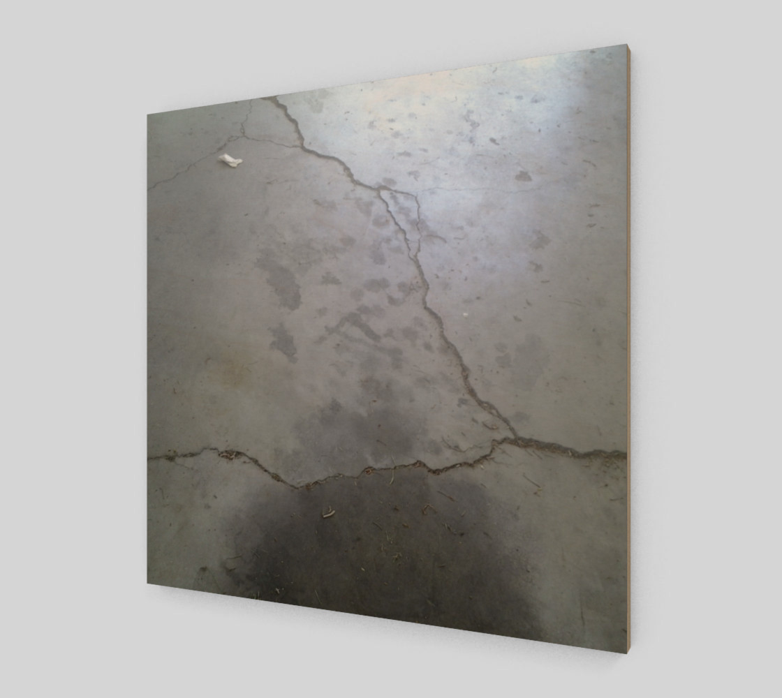 Cracked Driveway Wall Art preview #2