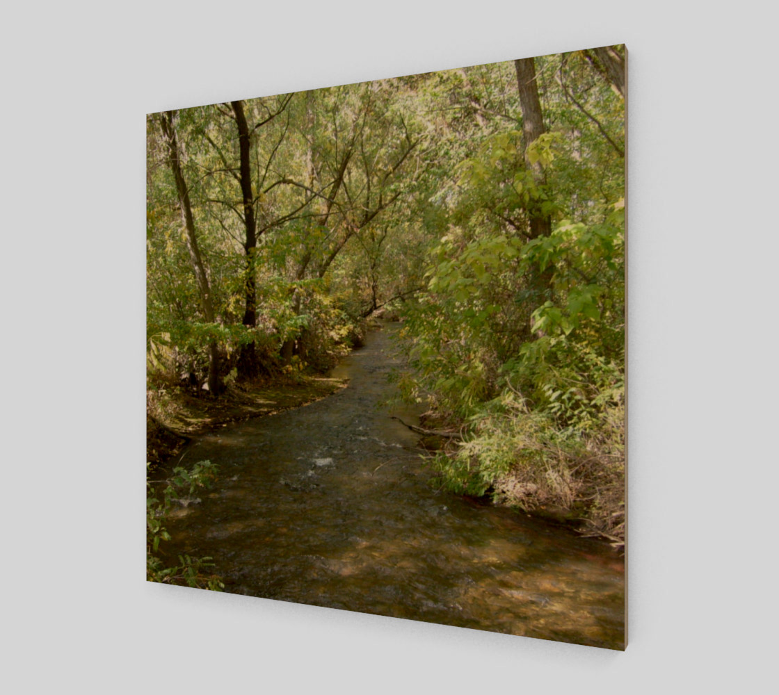 Creek Wall Art preview #1