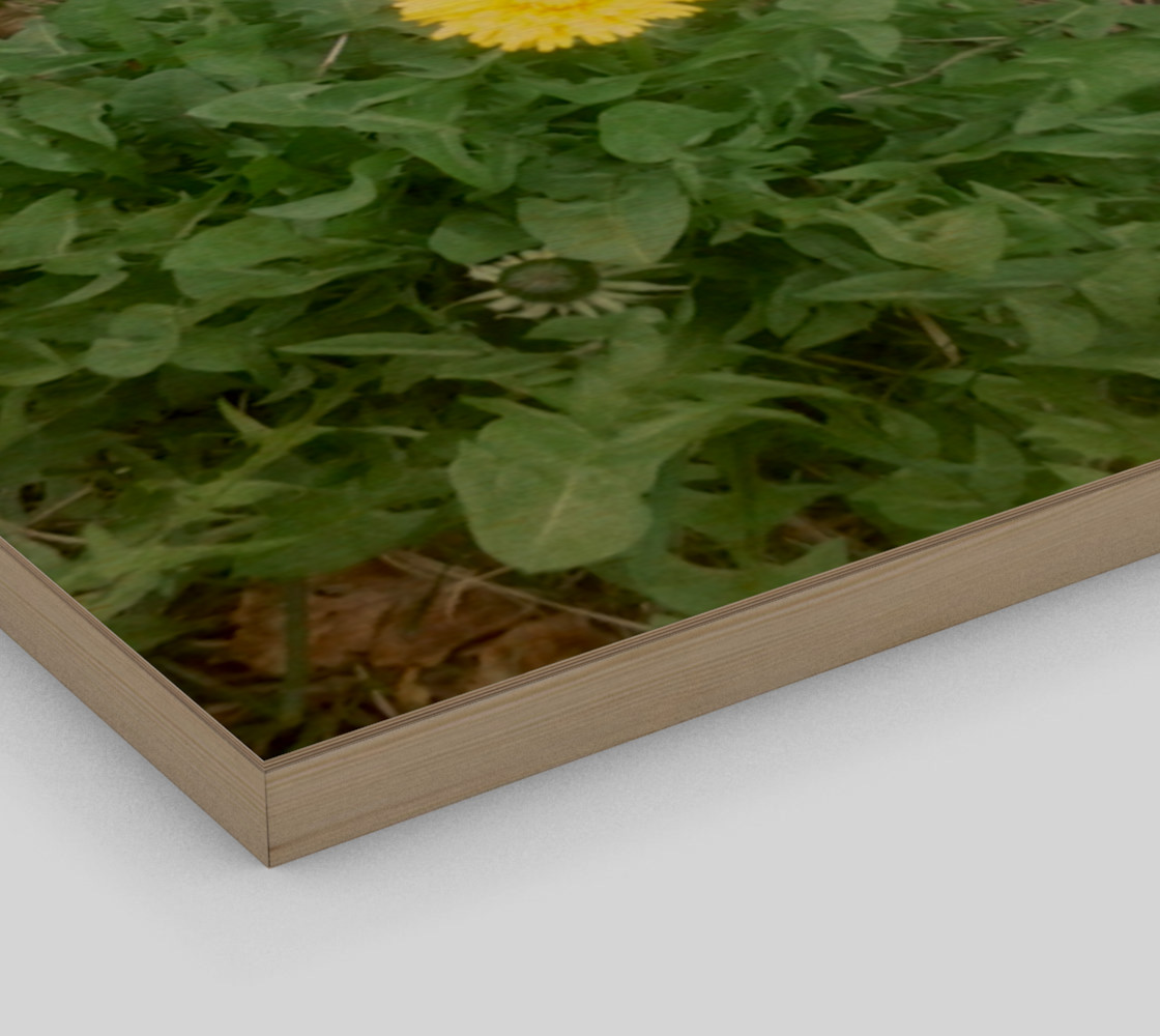 Dandelion and Rock Wall Art preview #3