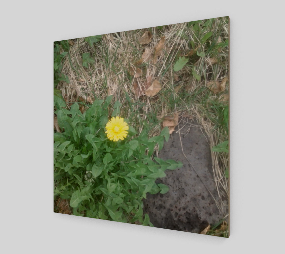 Dandelion and Rock Wall Art preview #2