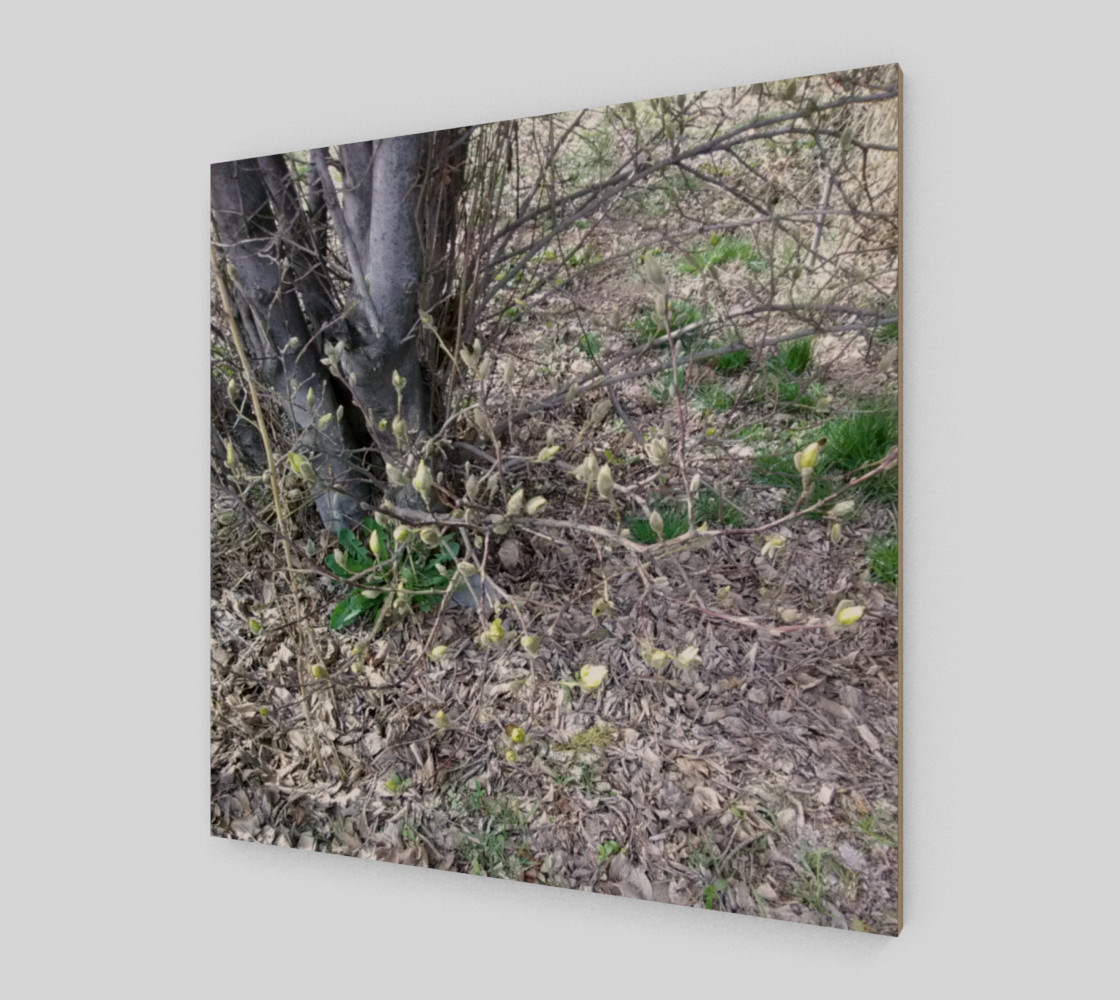 Darling Buds of March Wall Art preview #2
