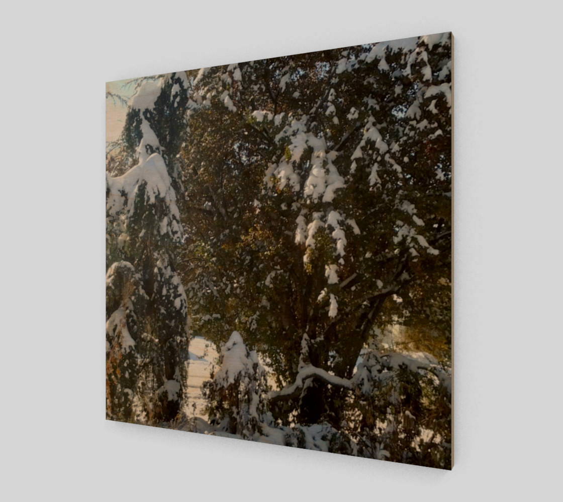 First Snow Wall Art preview #1