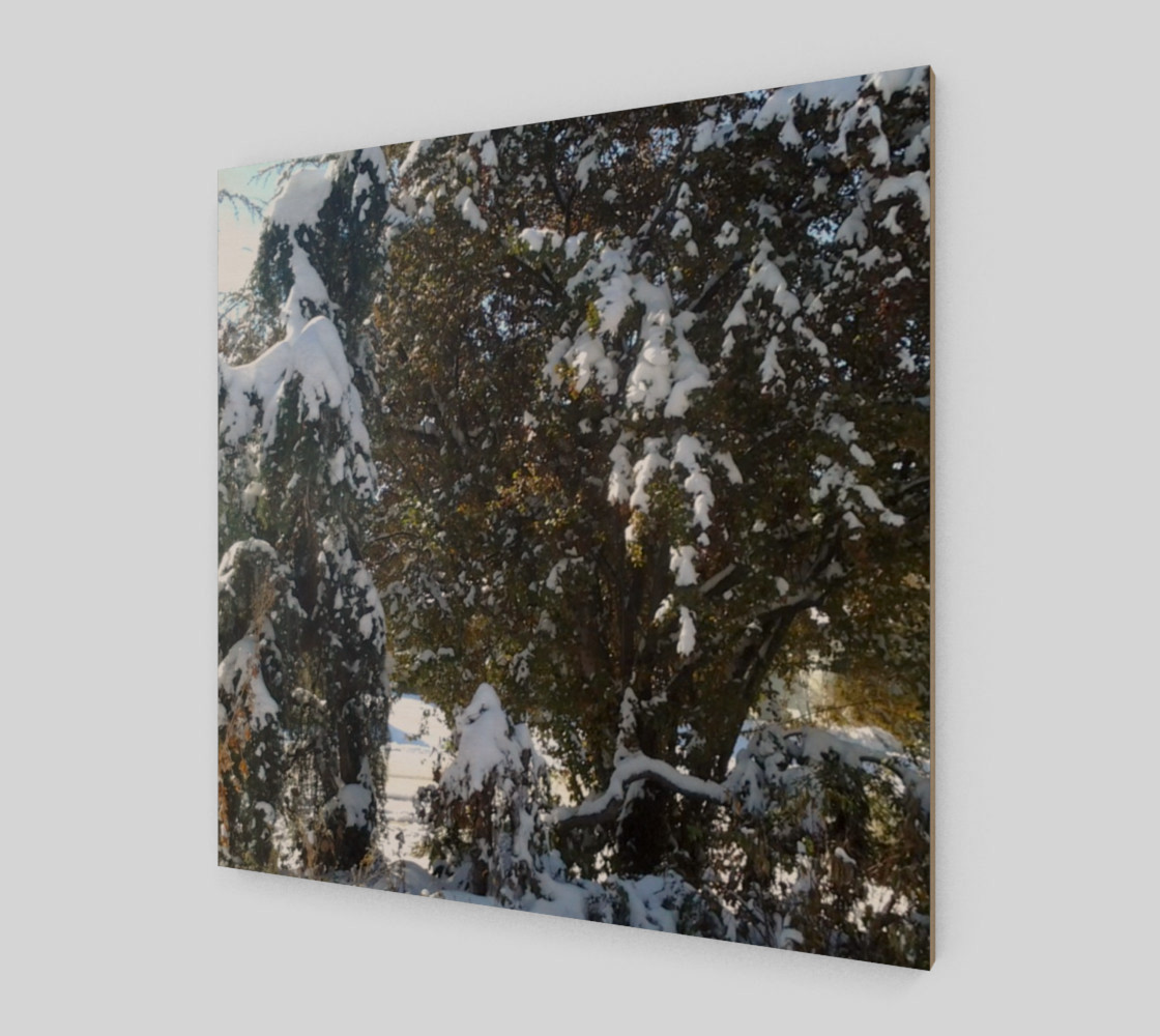 First Snow Wall Art preview #2
