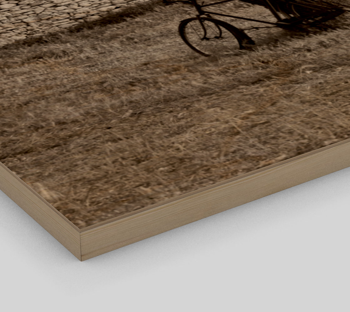 Utterly Italy Martina Franca Bike 24x24 preview #3
