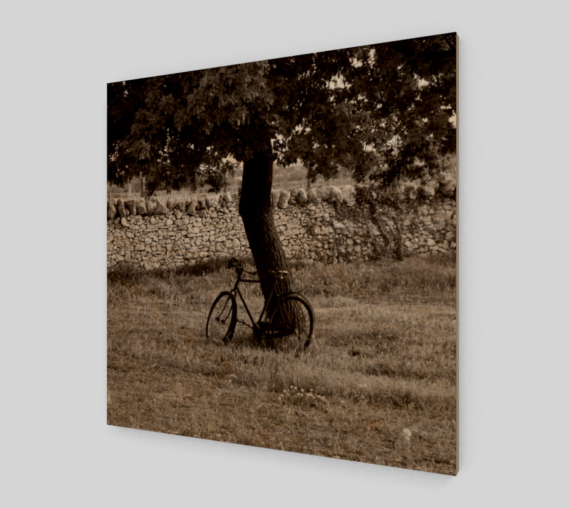 Utterly Italy Martina Franca Bike 24x24 preview #1