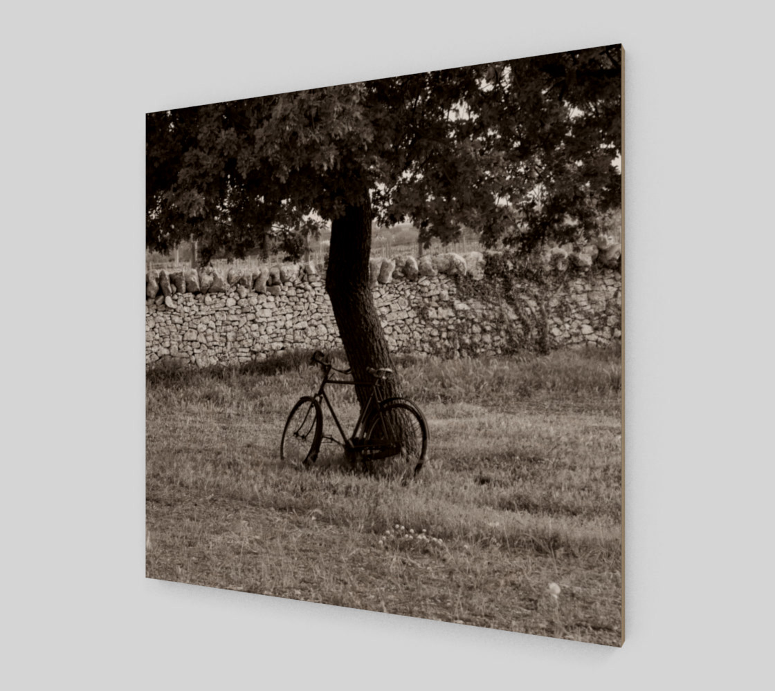 Utterly Italy Martina Franca Bike 24x24 preview #2