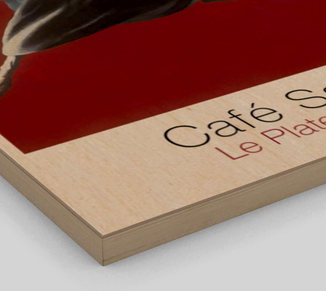 Cafe Santropol - Woman & Goldfish preview #3