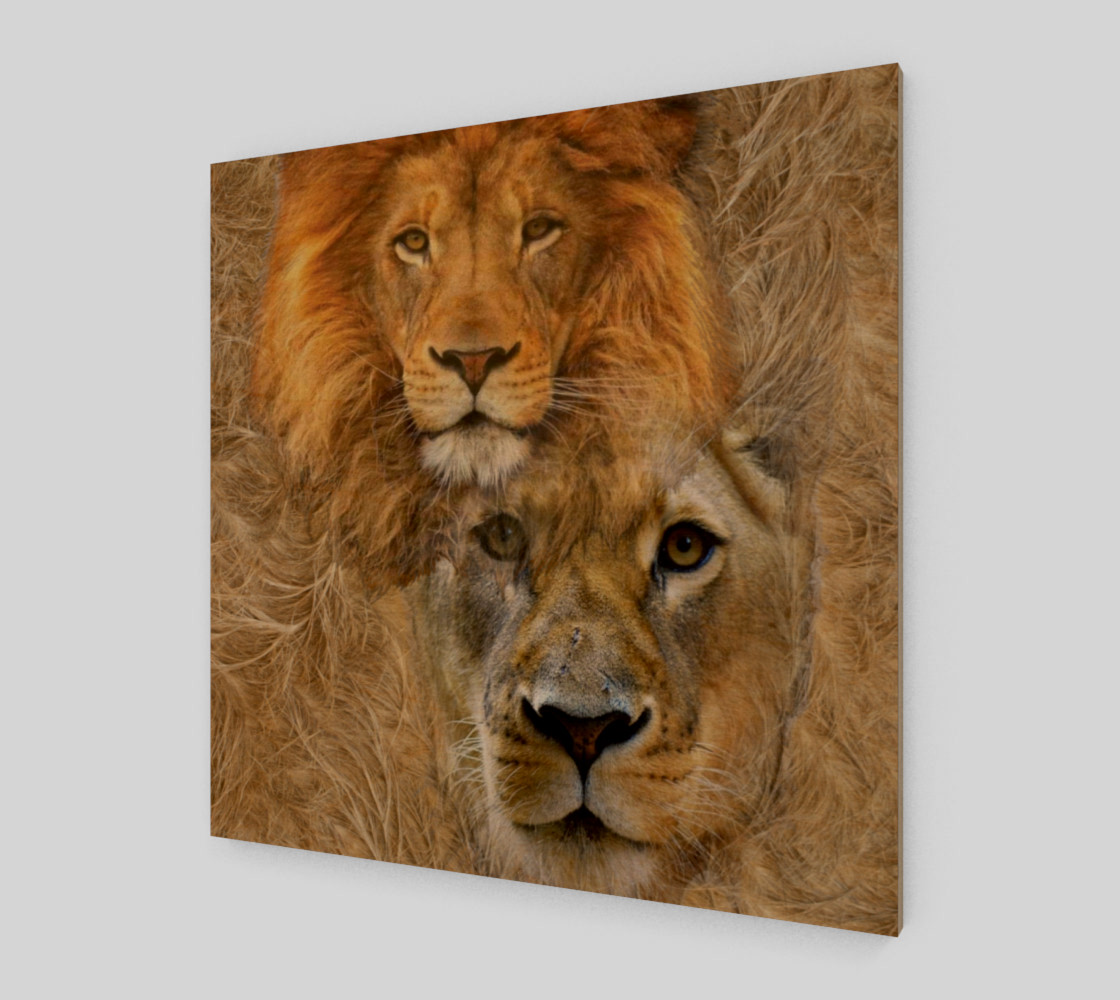 Lion King and Queen preview #1