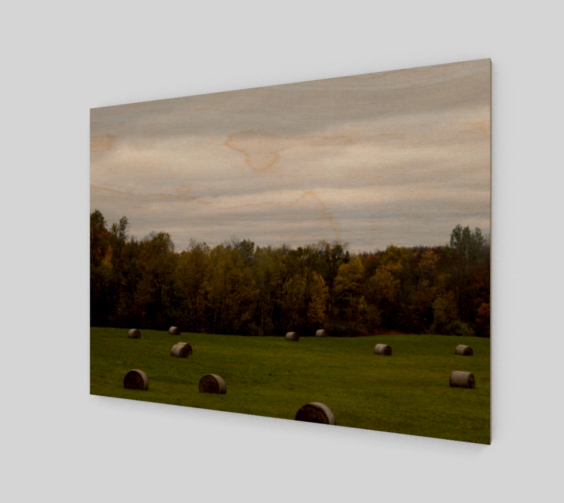 Aperçu de Hay Field - Wakefield Quebec Canada #1