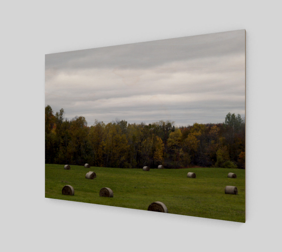 Aperçu de Hay Field - Wakefield Quebec Canada #2