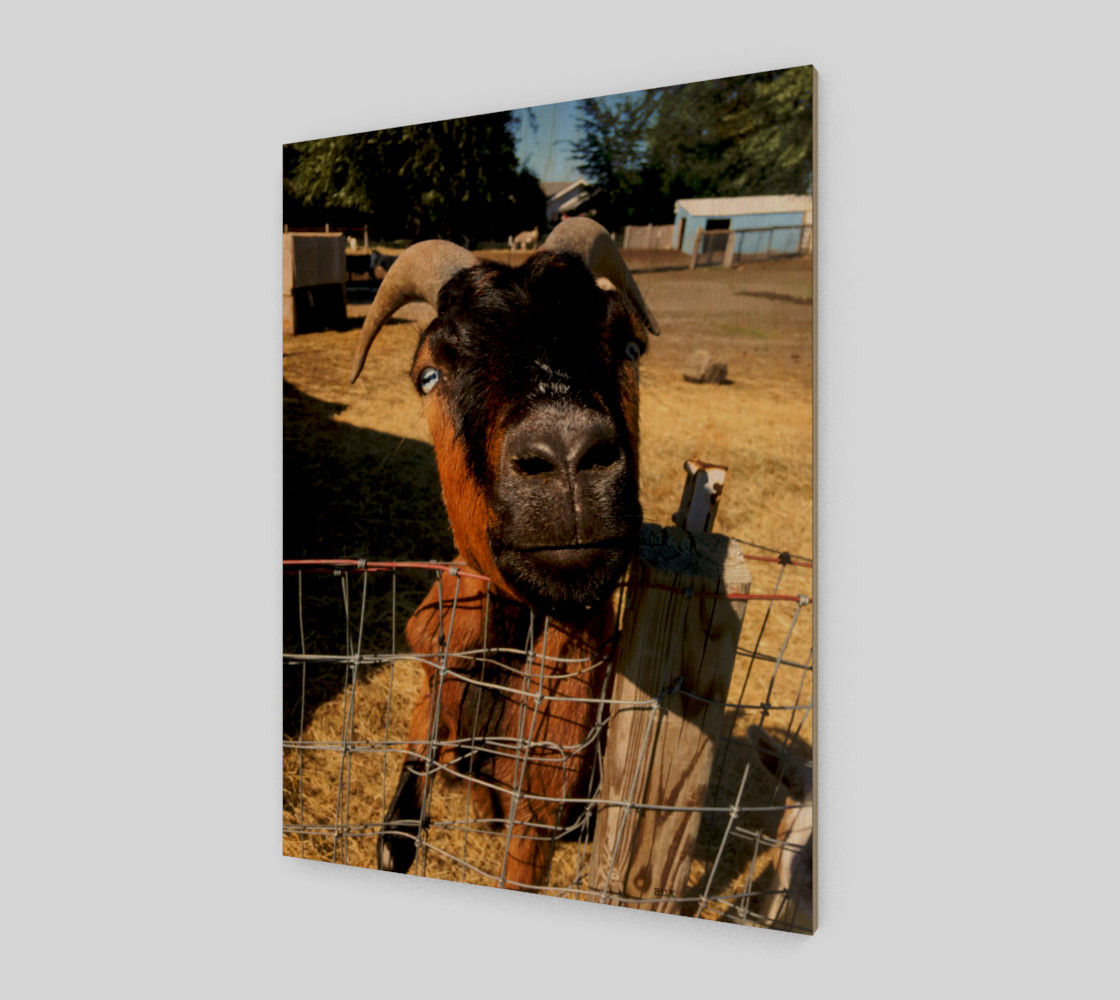 friend2 preview #1