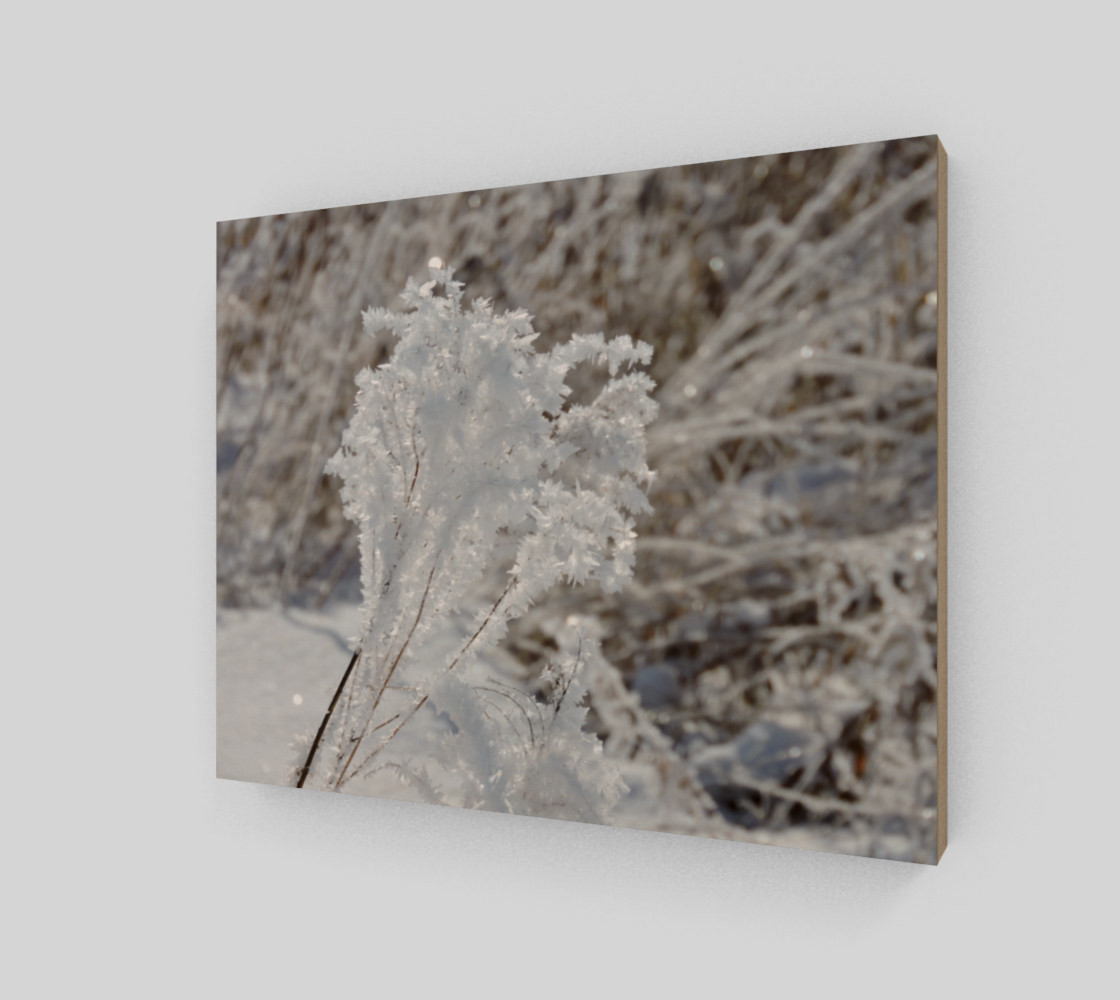 Aperçu de Frosted Feathered Plant #2