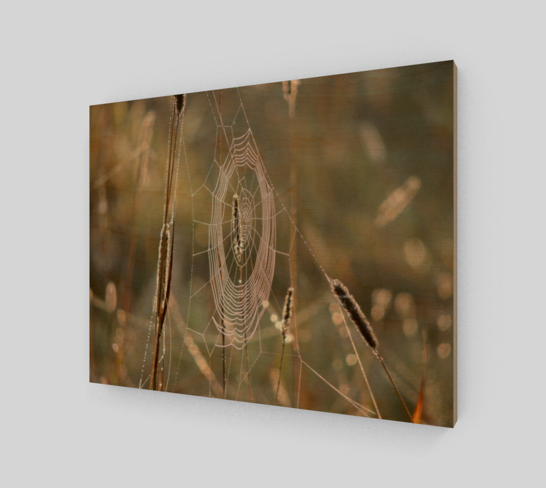 Hanging On By A Thread (14 x 11) preview #1