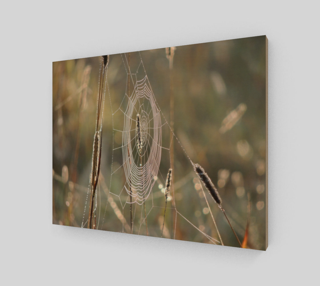 Hanging On By A Thread (14 x 11) preview #2